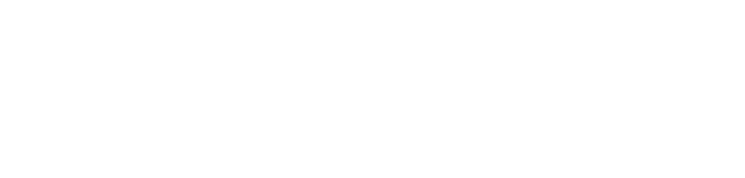 Fox News Tonight Logo